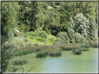 foto Lago di Terlago